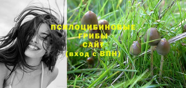 мет Бронницы