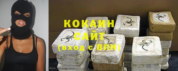 индика Богородицк