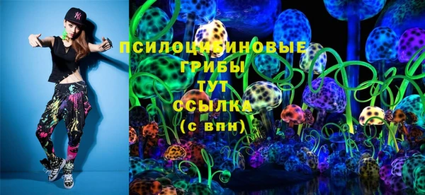 гидра Богородск