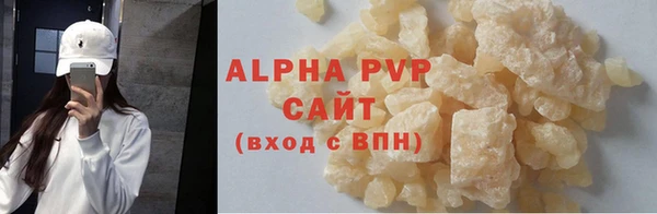 индика Богородицк
