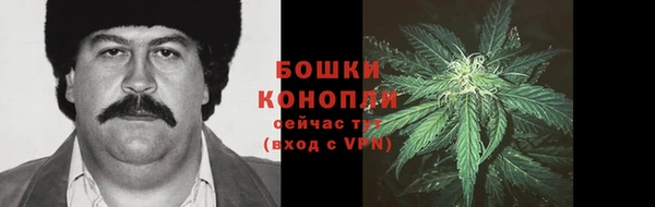 гидра Богородск