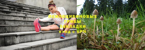 индика Богородицк