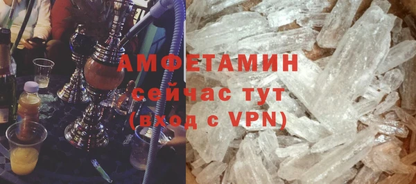 индика Богородицк