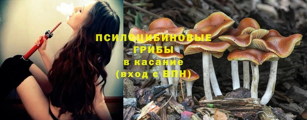 мет Бронницы